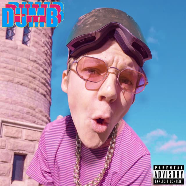 Omslag: I'm Dumb