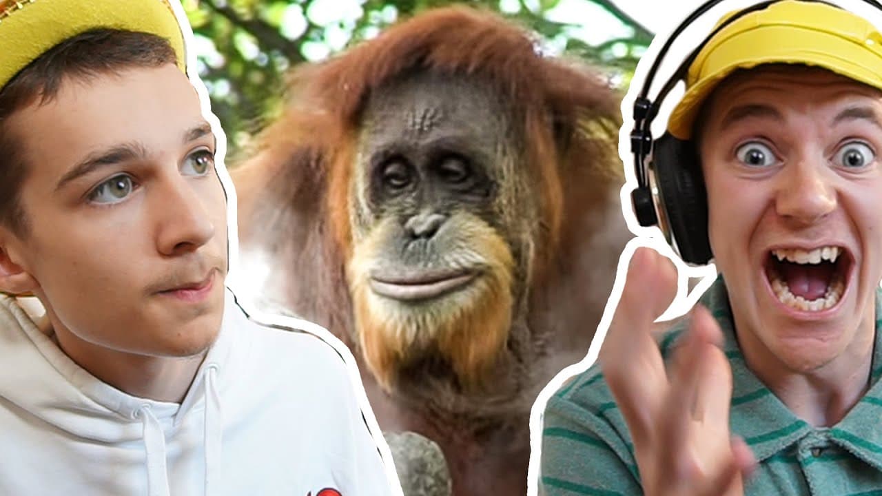 Videominiatyr: GISSA LJUDET